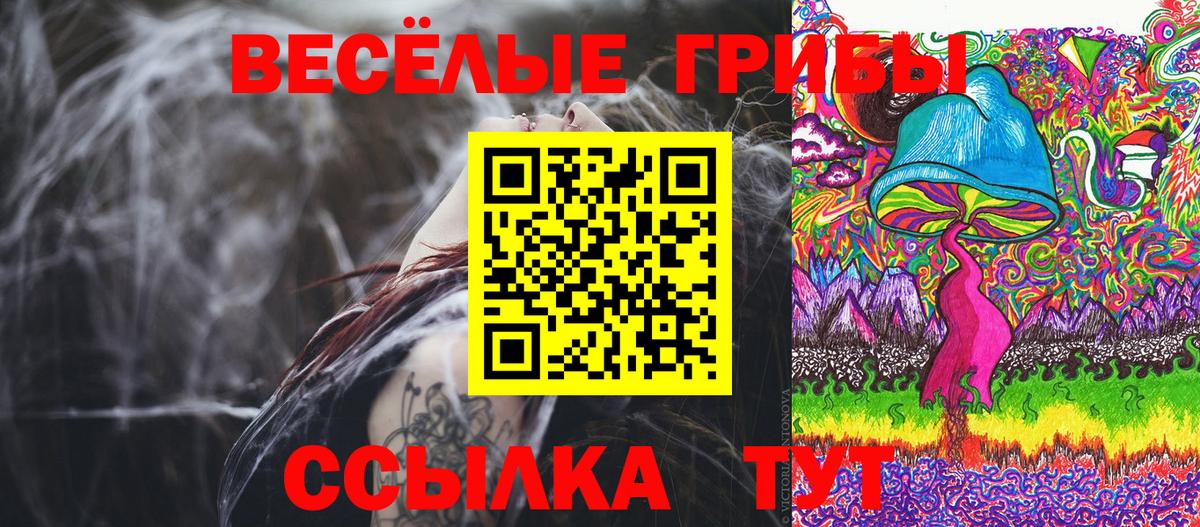 Кореновск  Псилоцибиновые грибы Magic Shrooms  Вход с VPN 